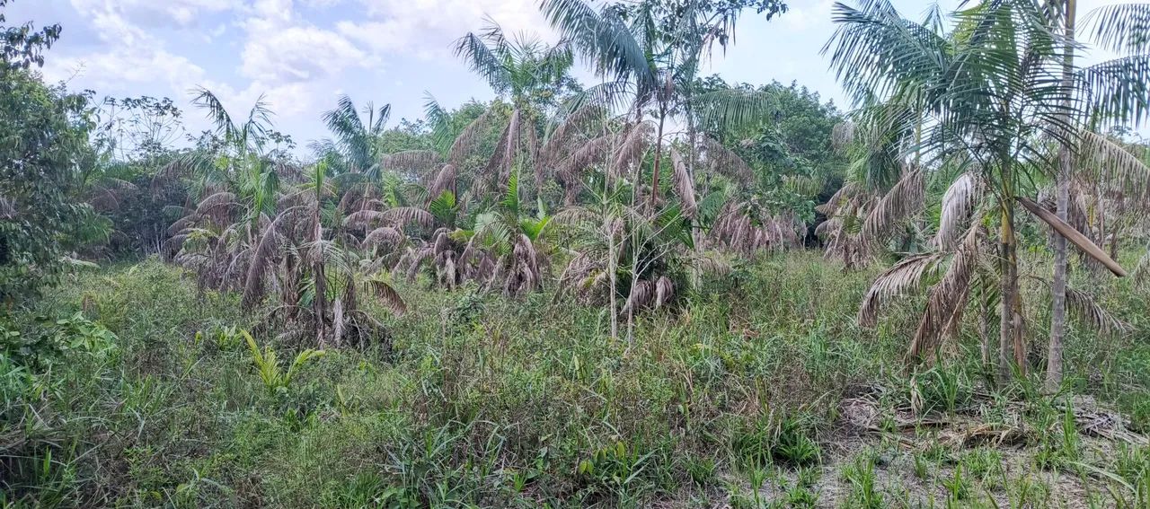 Terreno documentado em Abaetetuba  - Foto 3