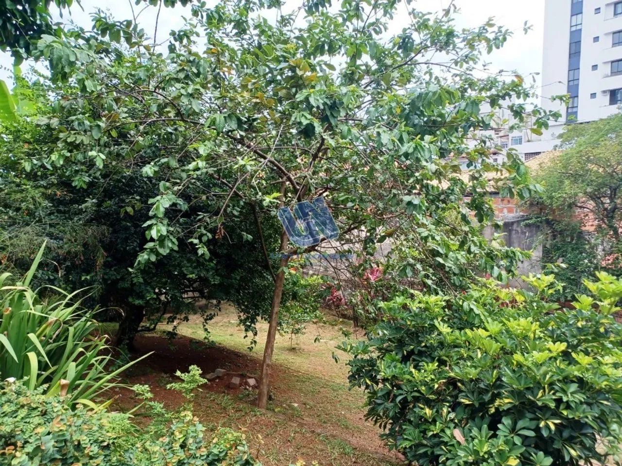 Terreno com 774m2 no Rio Vermelho - Foto 4
