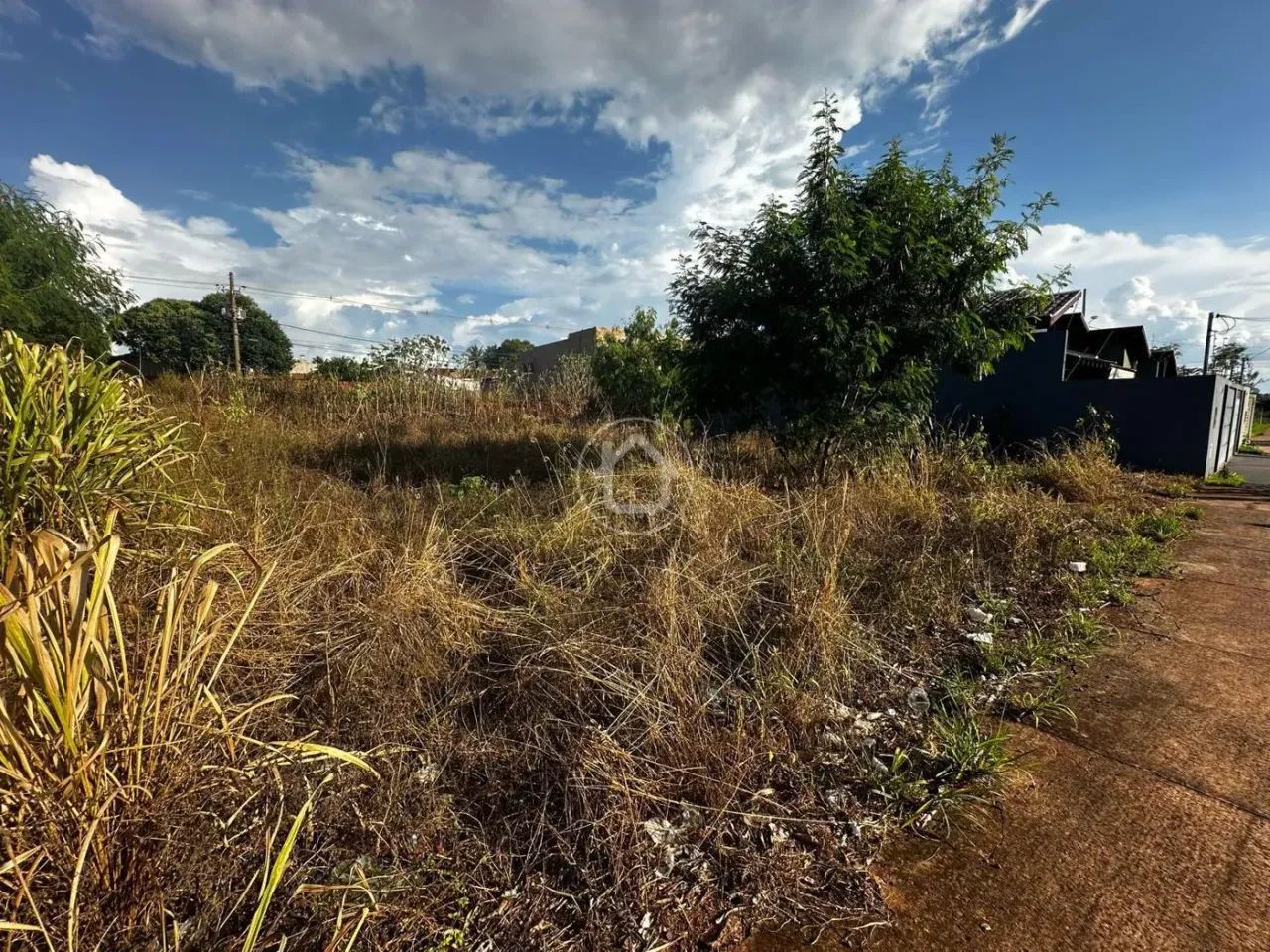 TEREENO EM AVENIDA - Foto 3