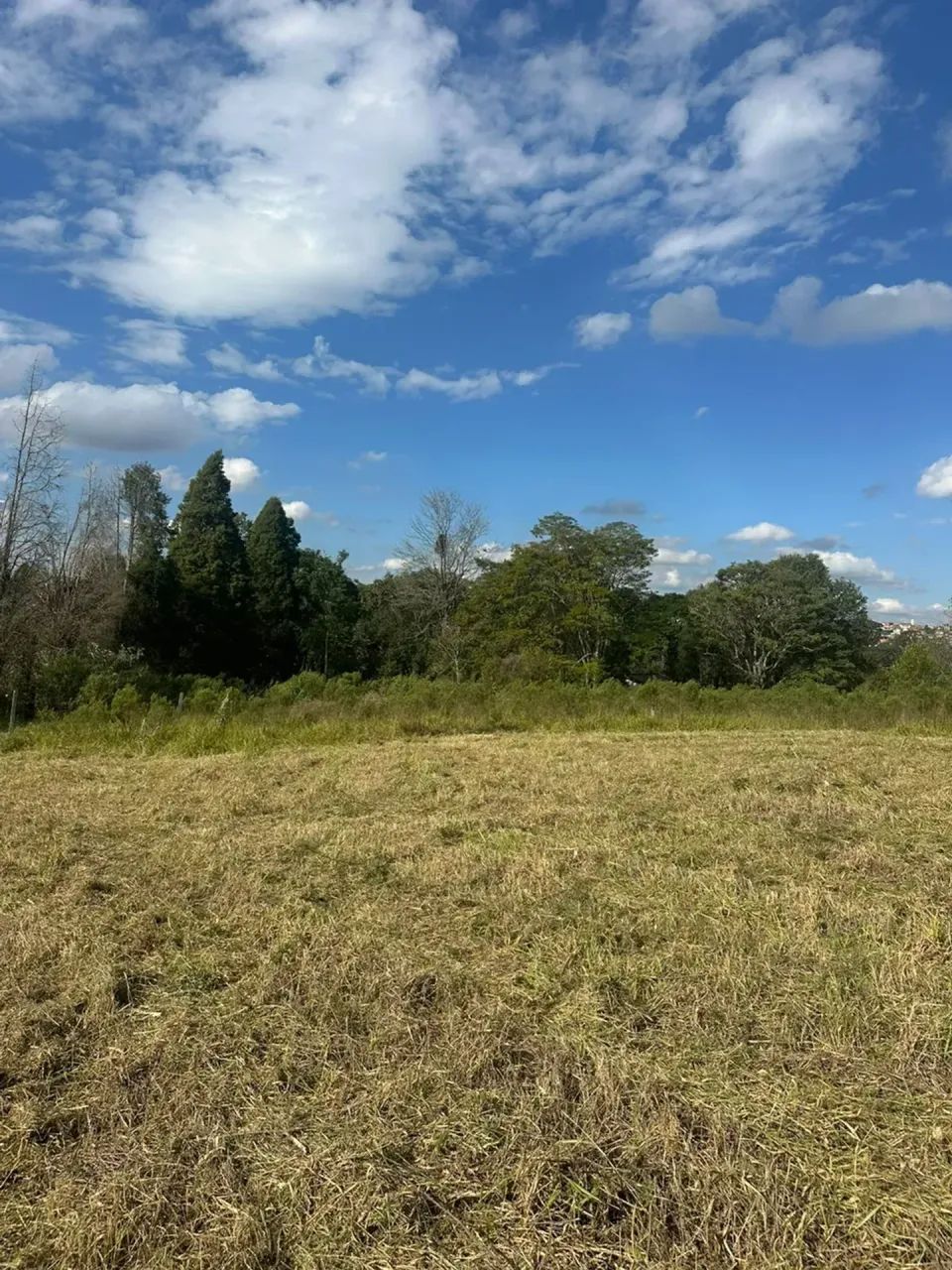 Lotes com Fundo para Mata em Mairinque | Poucas Unidades