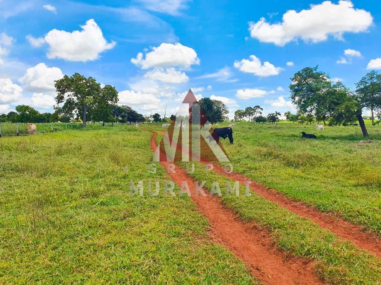 FAZENDA - RIO NEGRO - MS - Foto 3