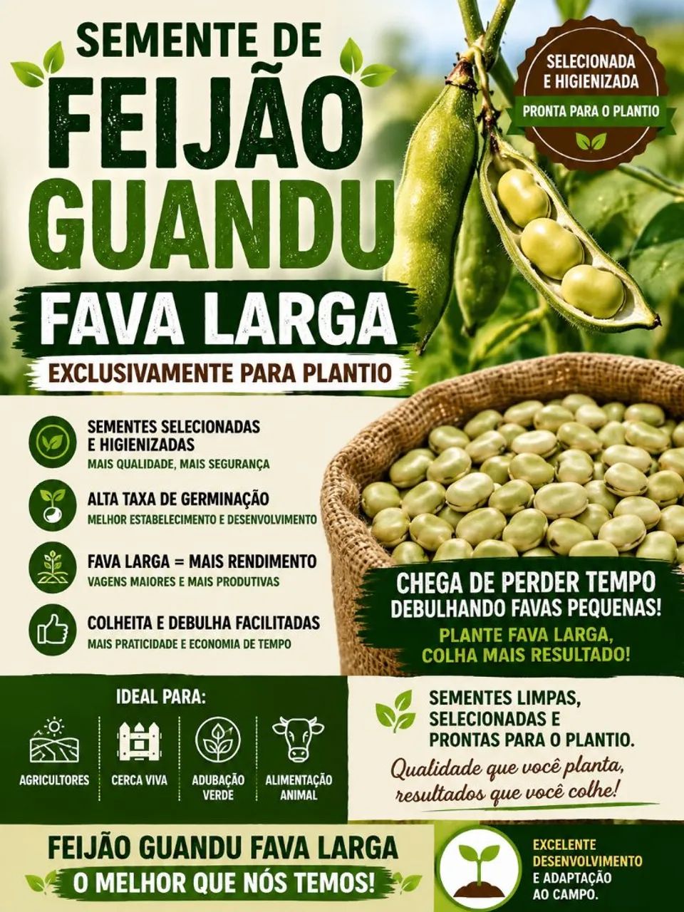 100 Feijões Guandu