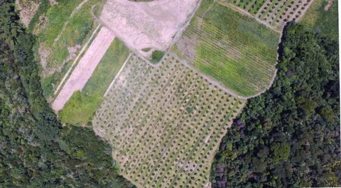 Área para venda em Piabetá - Foto 3
