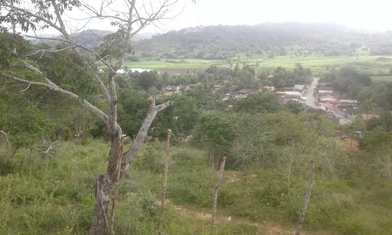 A GRADE OFERTA IMPERDIVEL  - Foto 14