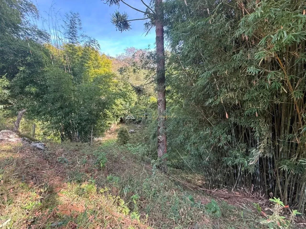 TERRENO À VENDA | BAIRRO DO SERRANO  SÃO BENTO DO SAPUCAÍ/SP - Foto 5