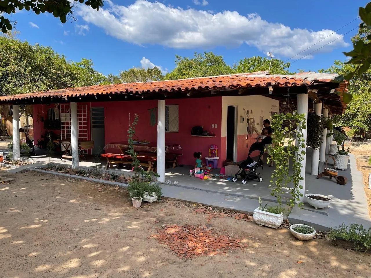 Sítio taboca  - Foto 4