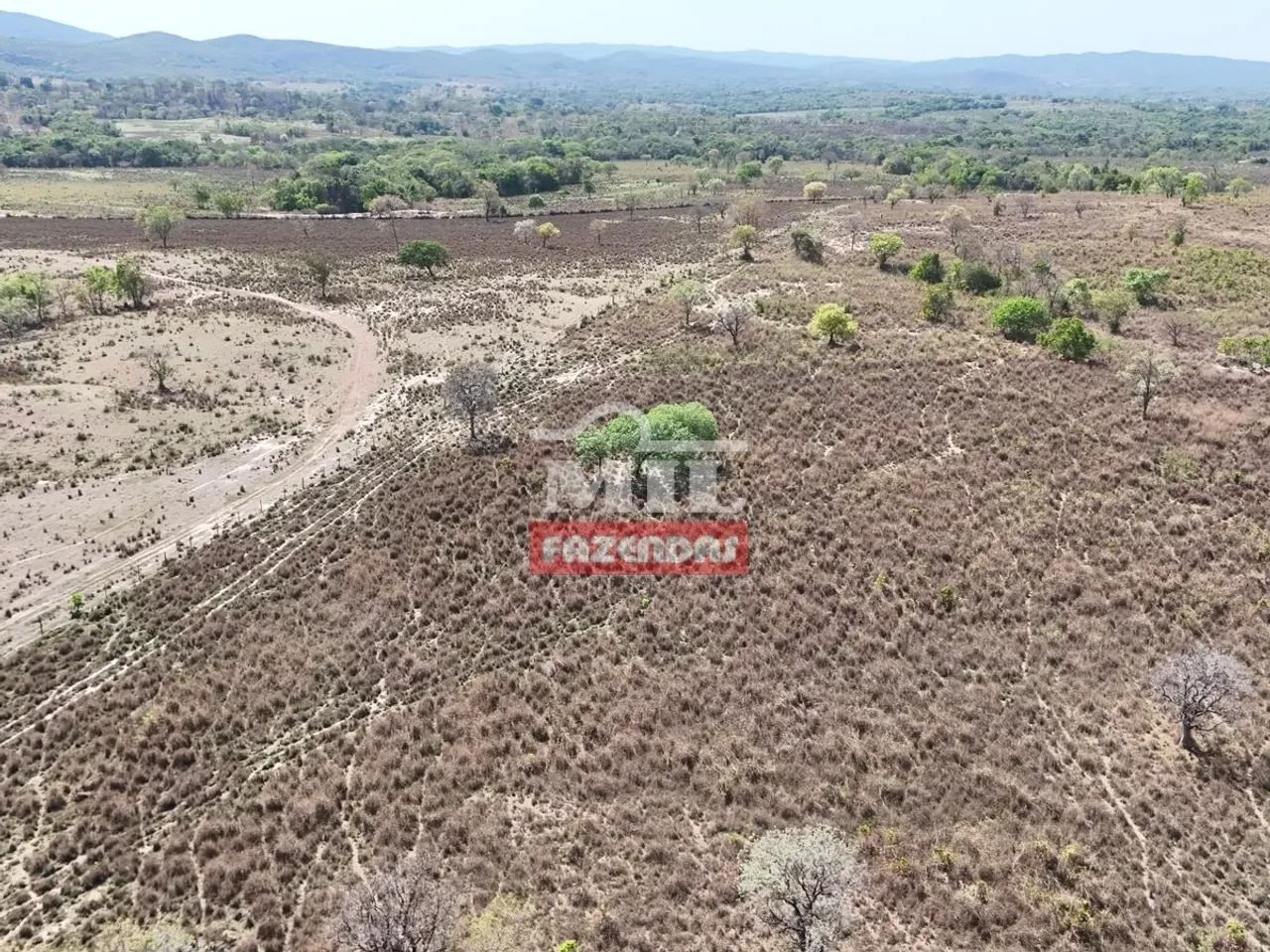 Fazenda 20 Alqueires (96,80 Hectares) Lua Nova - GO - Foto 3