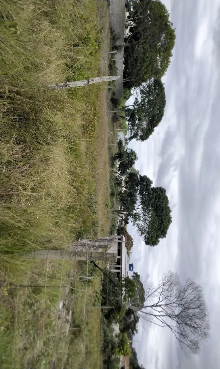 Vendo terreno - Foto 4