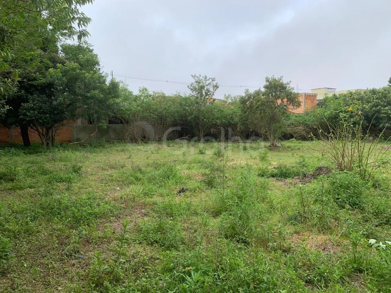 Terreno de 2.000m² no Moçambique - Foto 4