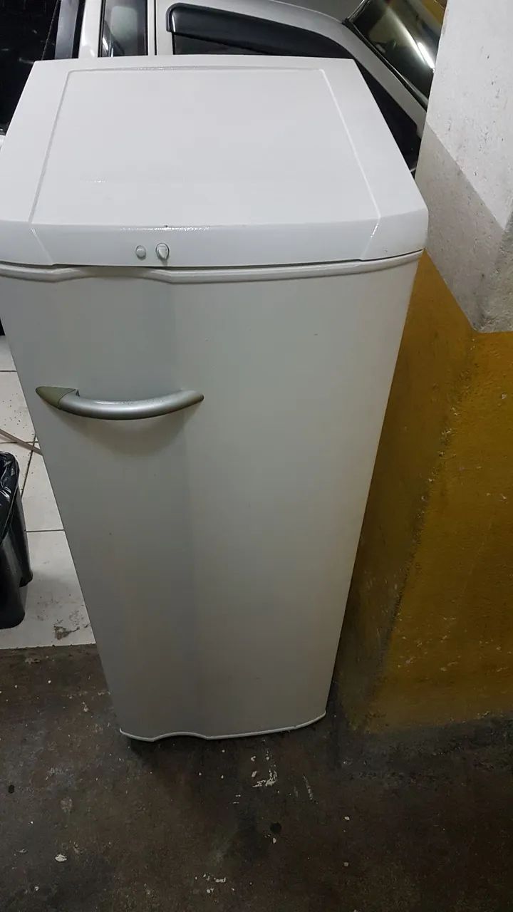 Geladrira Eletrolux 280 l - Foto 2