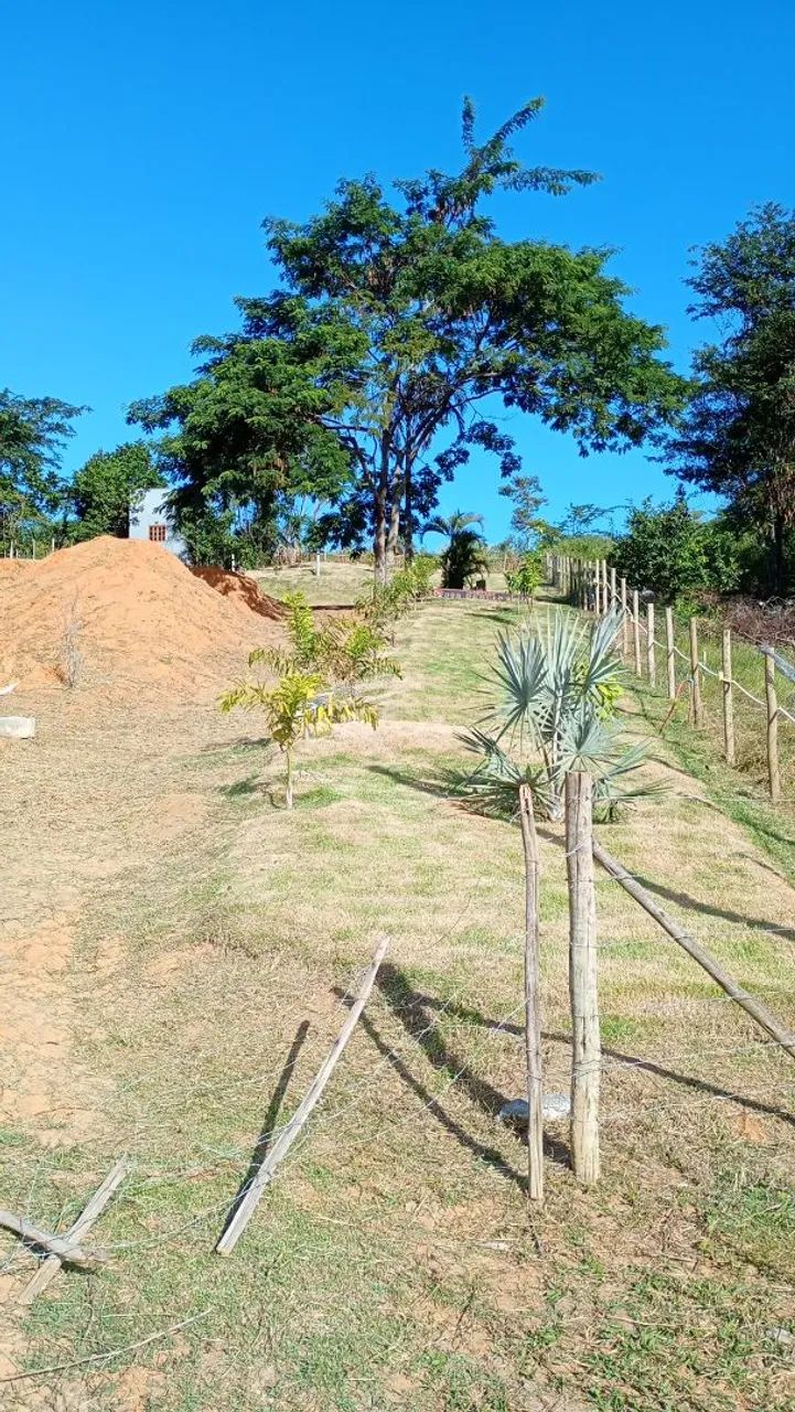 Limpeza de terrenos e quintais e corte de árvore e faço serca   - Foto 4