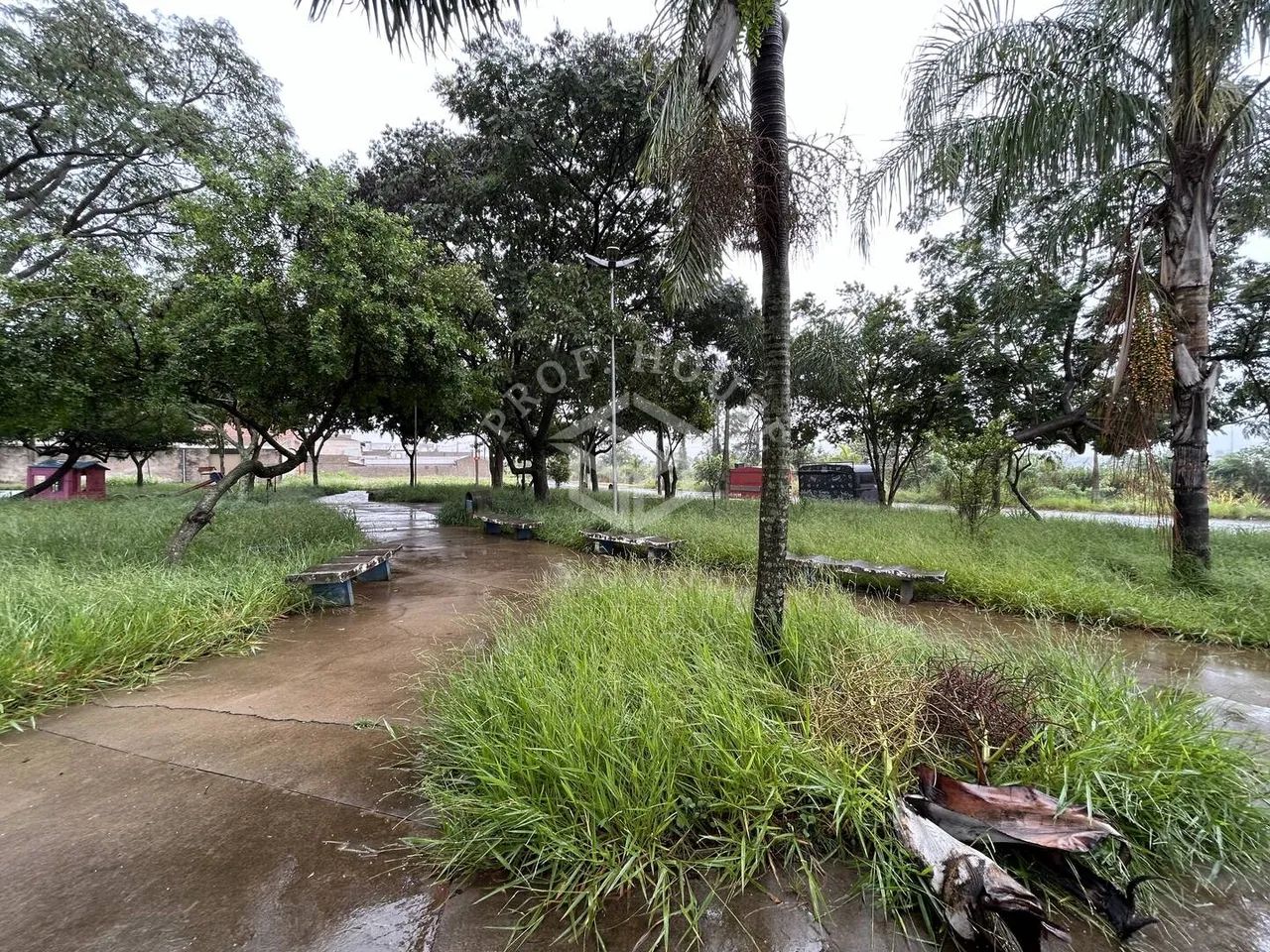 Terreno no Palmeira Real em Limeira-SP - Foto 5
