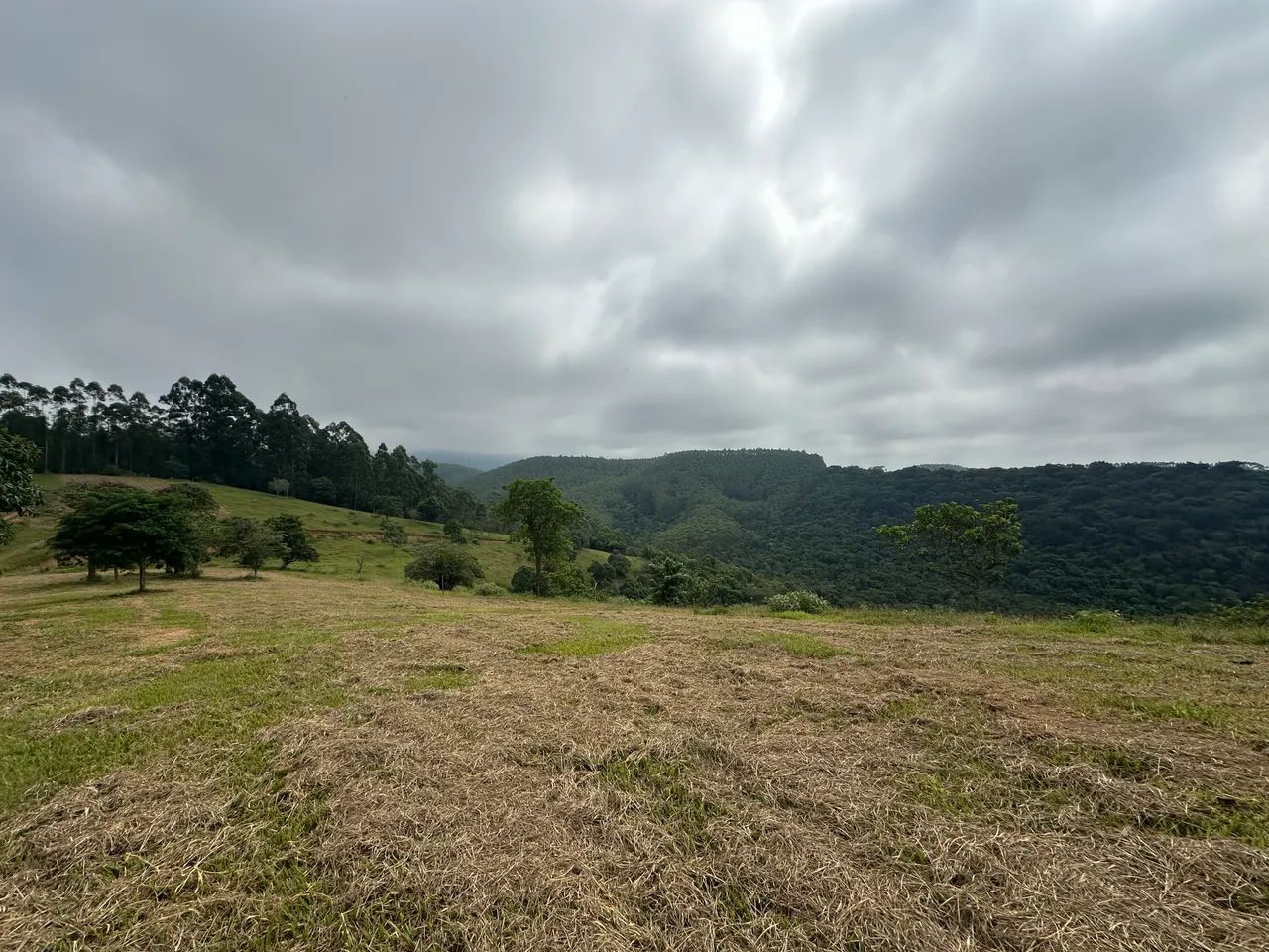 Chácara 20.000m² -  Tremembe - SP  - Foto 5