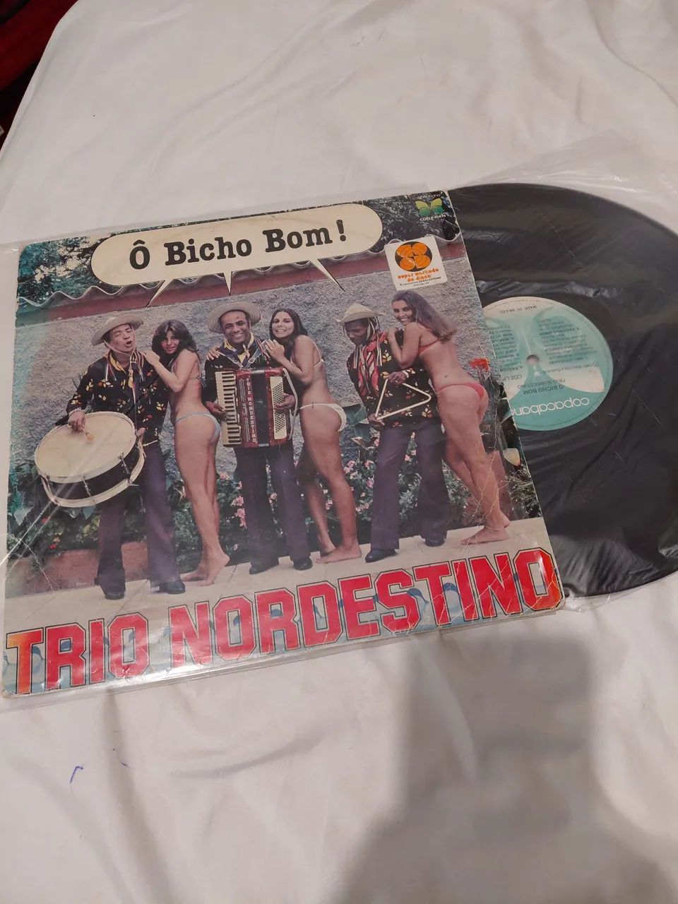 Disco vinil trio nordestino
