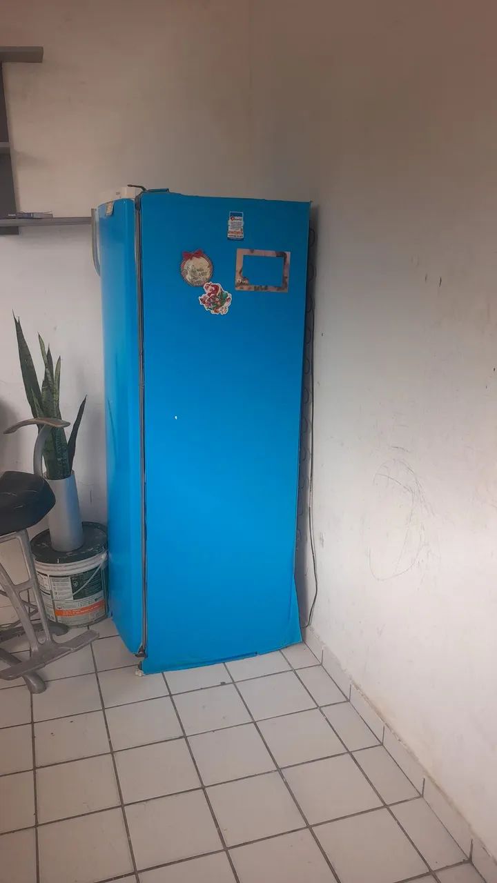 Geladeira nuca consertada * 