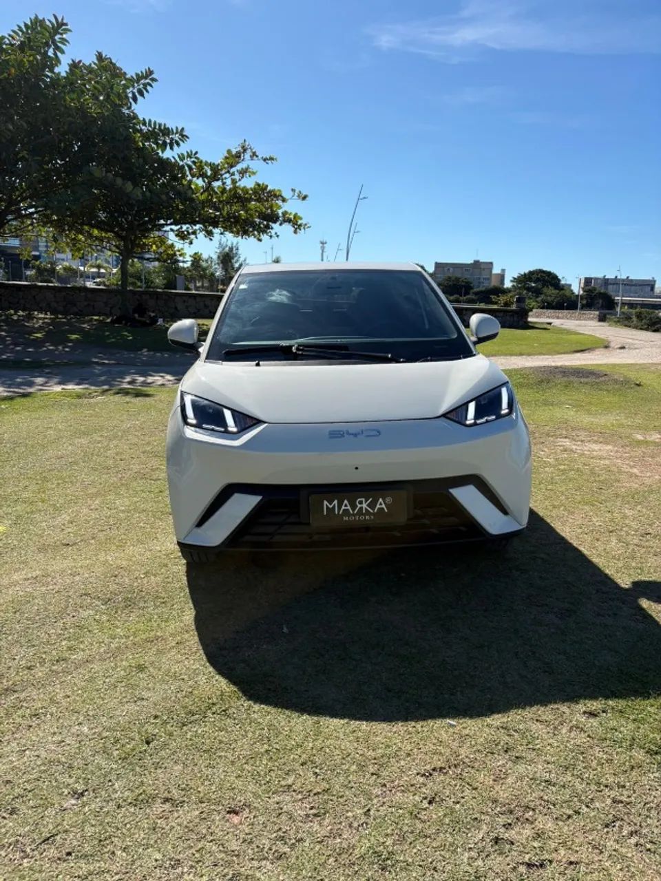 BYD Dolphin Mini (Elétrico) 2026 - Foto 2