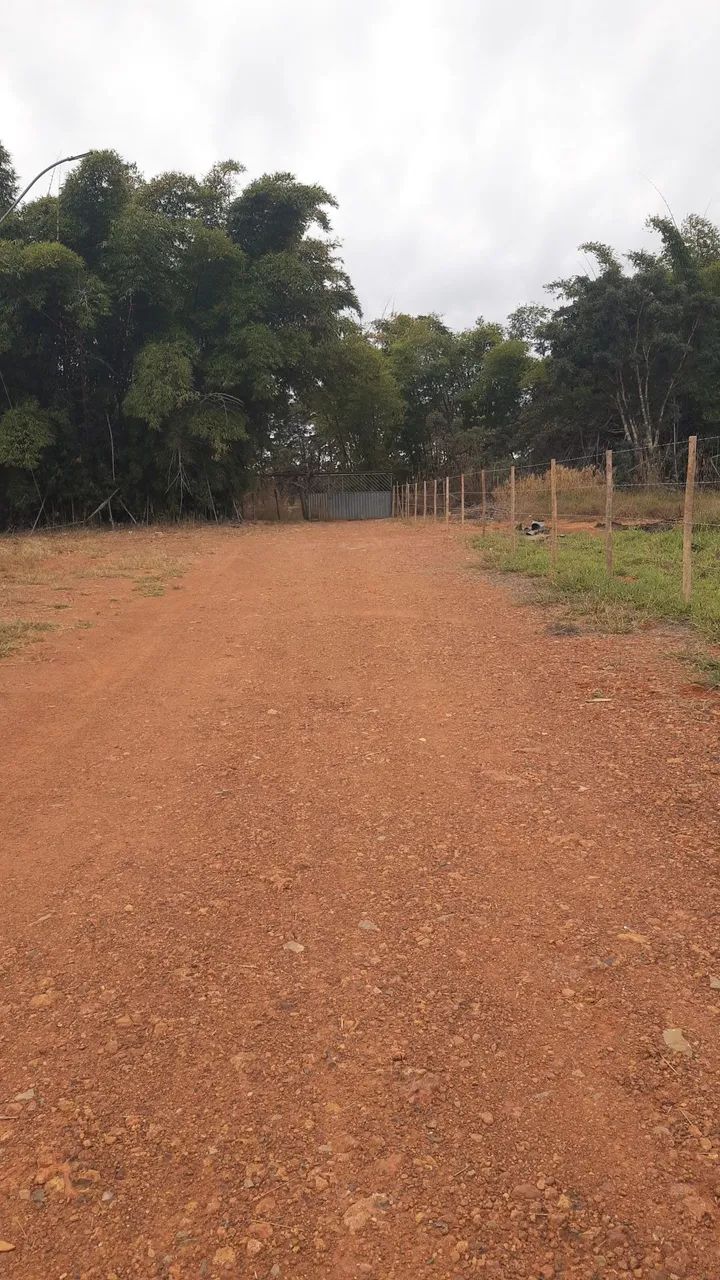  Lote Ponte Alta Norte - Foto 4