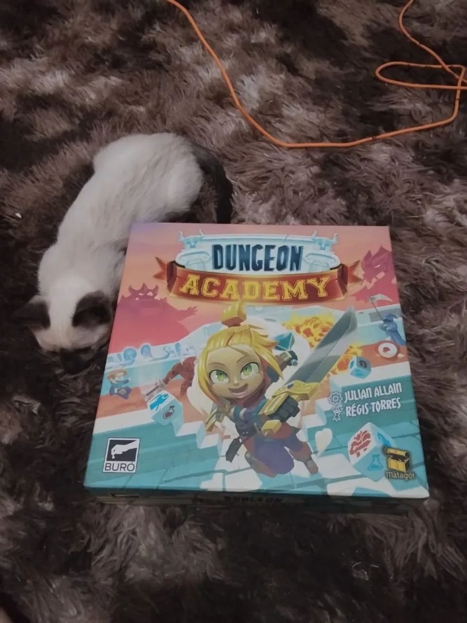 Dungeon Academy jogo de tabuleiro 