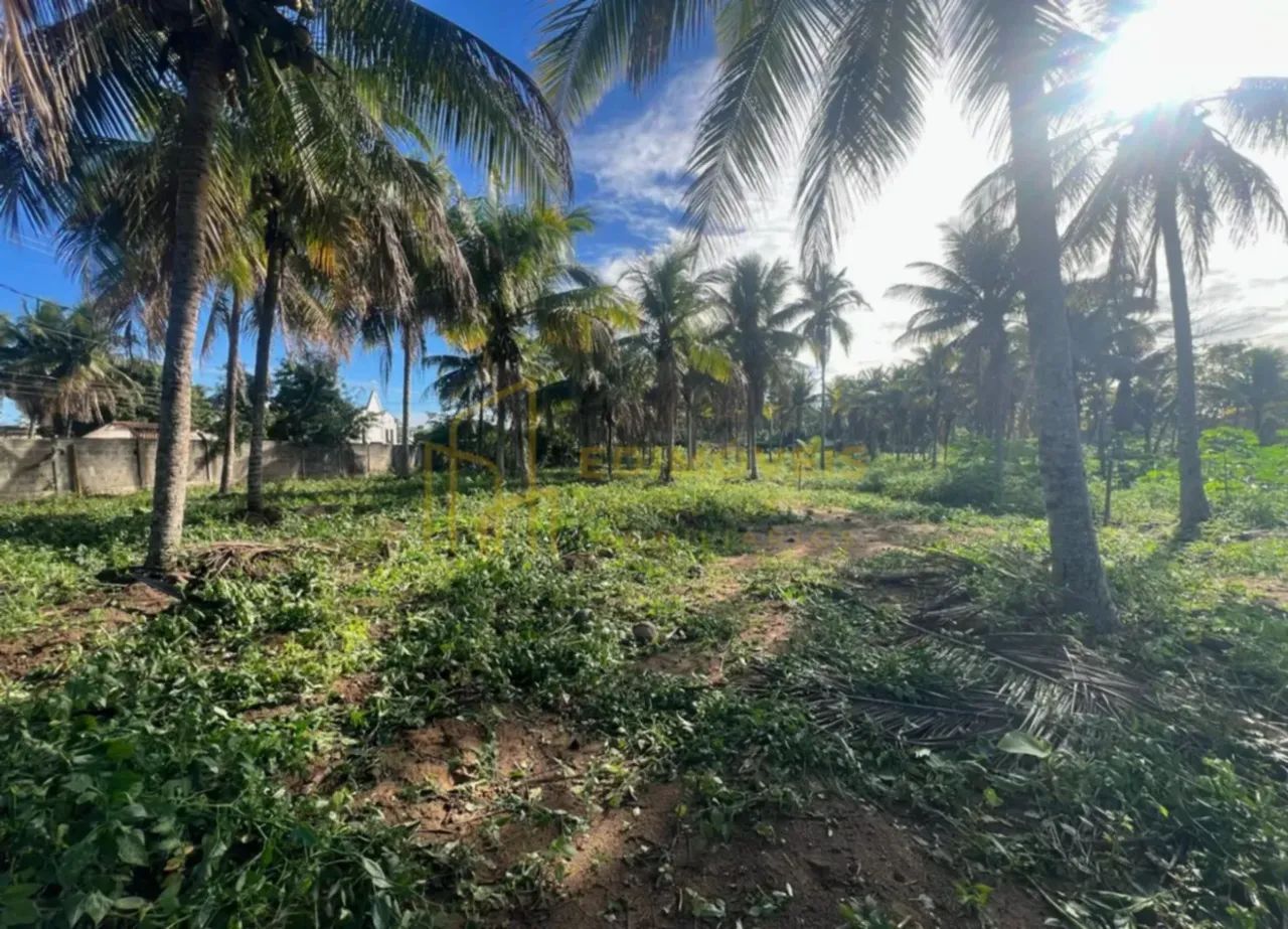 Oportunidade única em Parque das Gaivotas: Lotes com documentação regularizada! - Foto 5