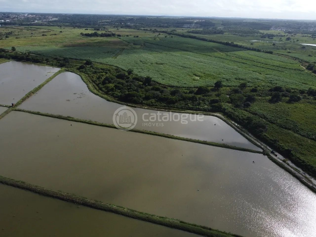 Fazenda de Camarão à Venda - Foto 4