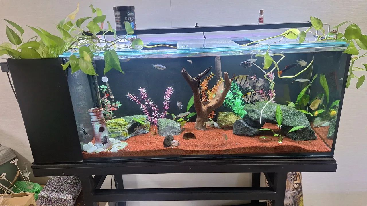 Aquario 200 litros