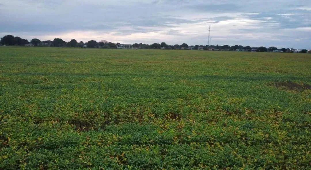 Fazenda a venda, em Santa Rita do Tocantins - Foto 3