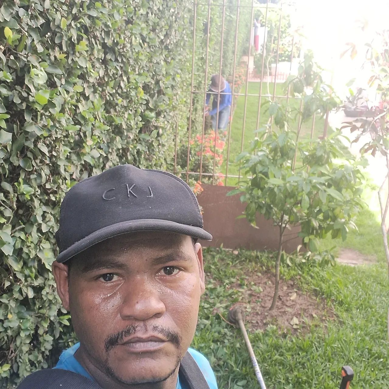 Jardinagem e projetos e palda de árvore com motosserra  - Foto 5