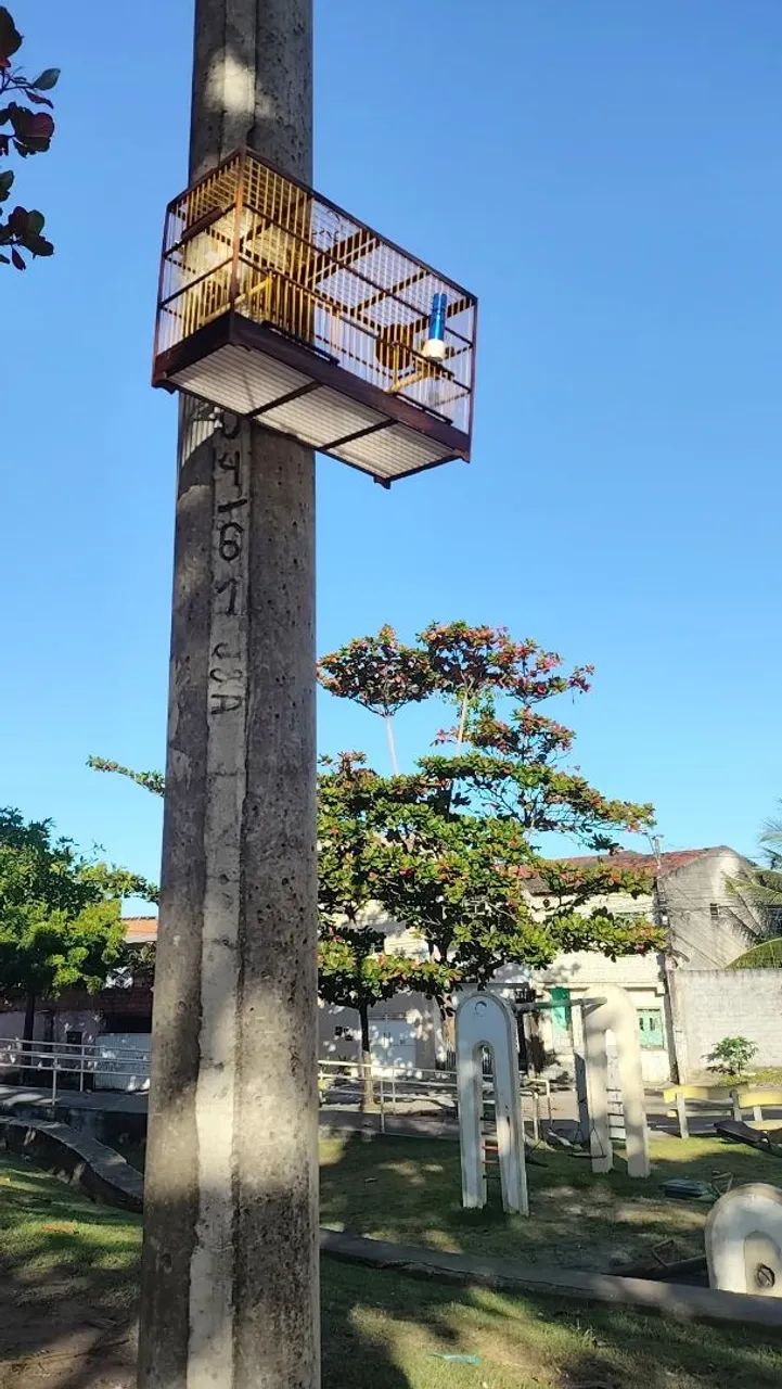 Gaiola voador  - Foto 3