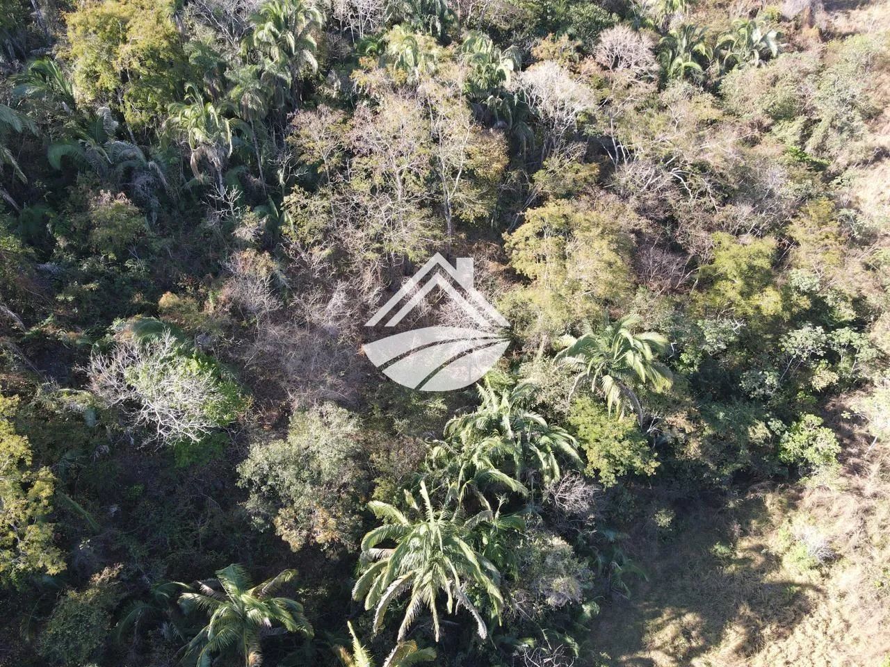Chácara para Venda em Palmas, Área Rural de Palmas - Foto 4