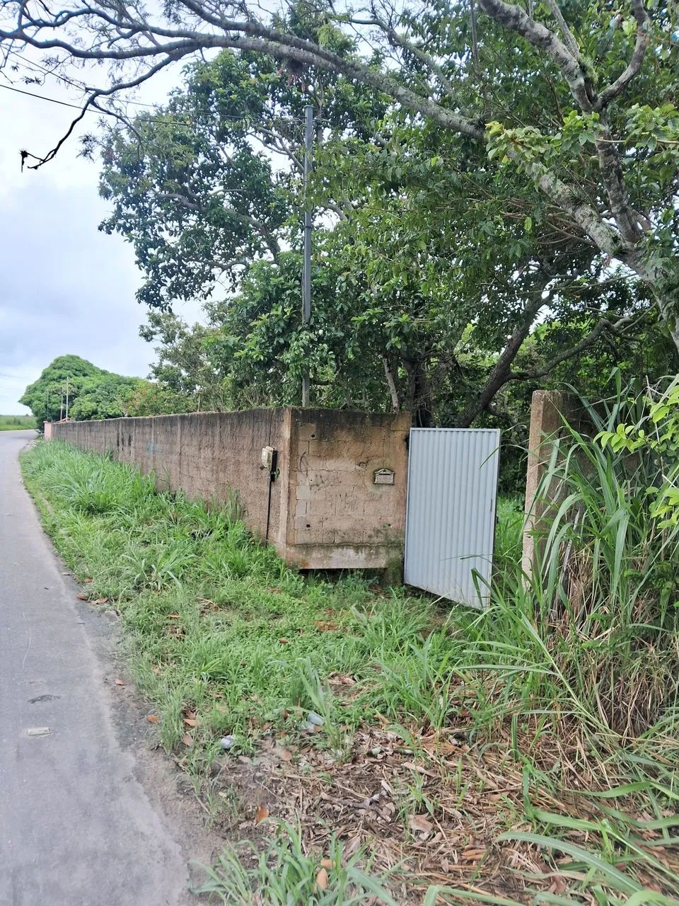 Foto - Cabo Frio - Centro