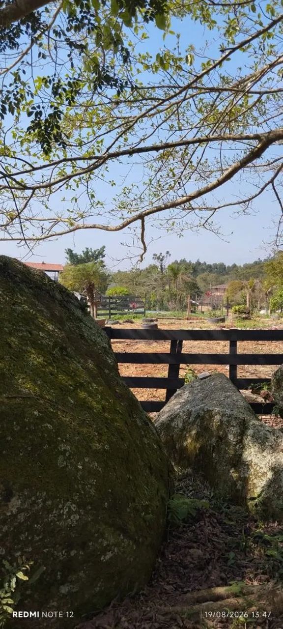 TERRENO a VENDA em CANELINHA SC  - Foto 5