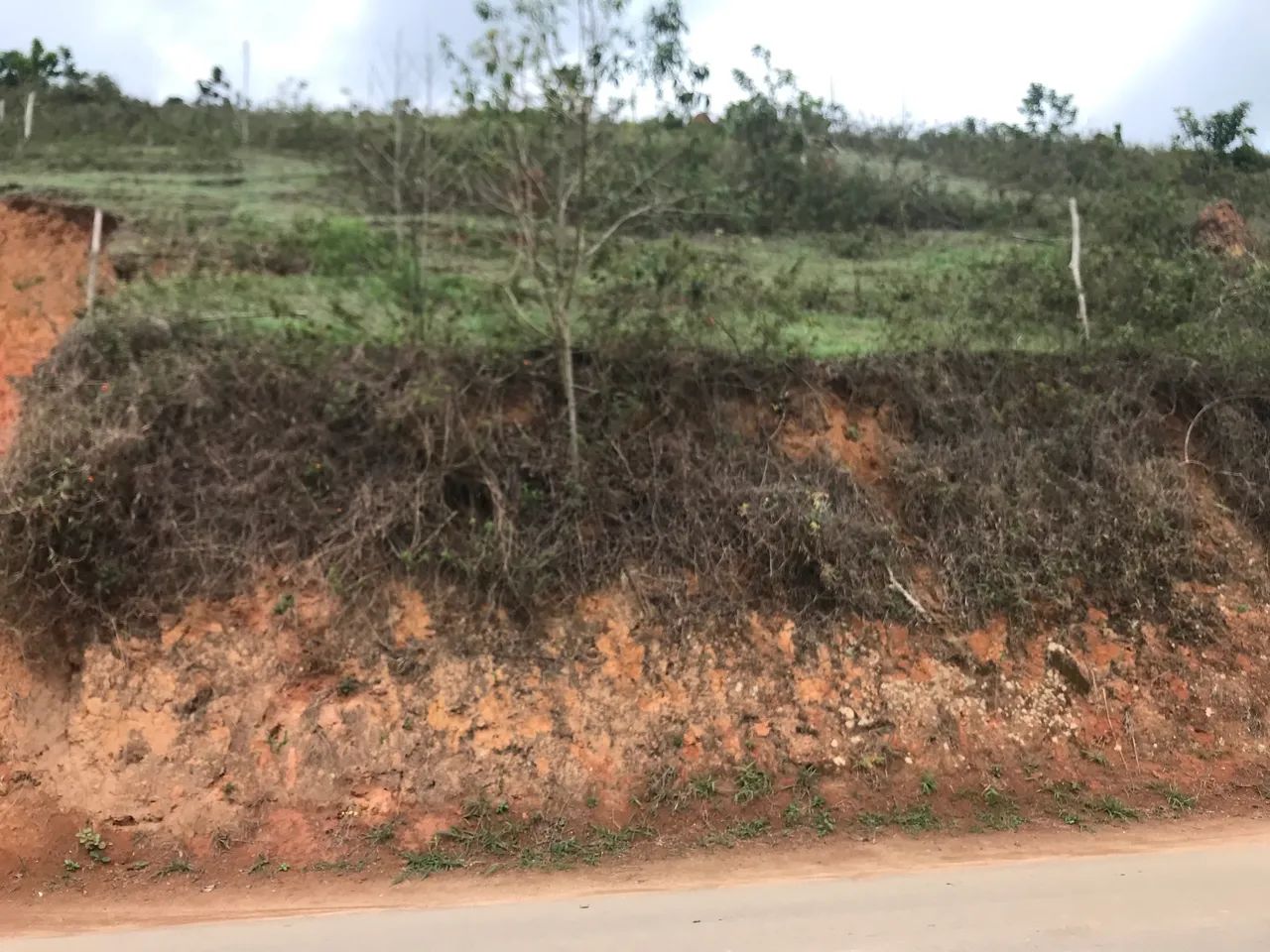 Terreno Chácara  - Foto 3