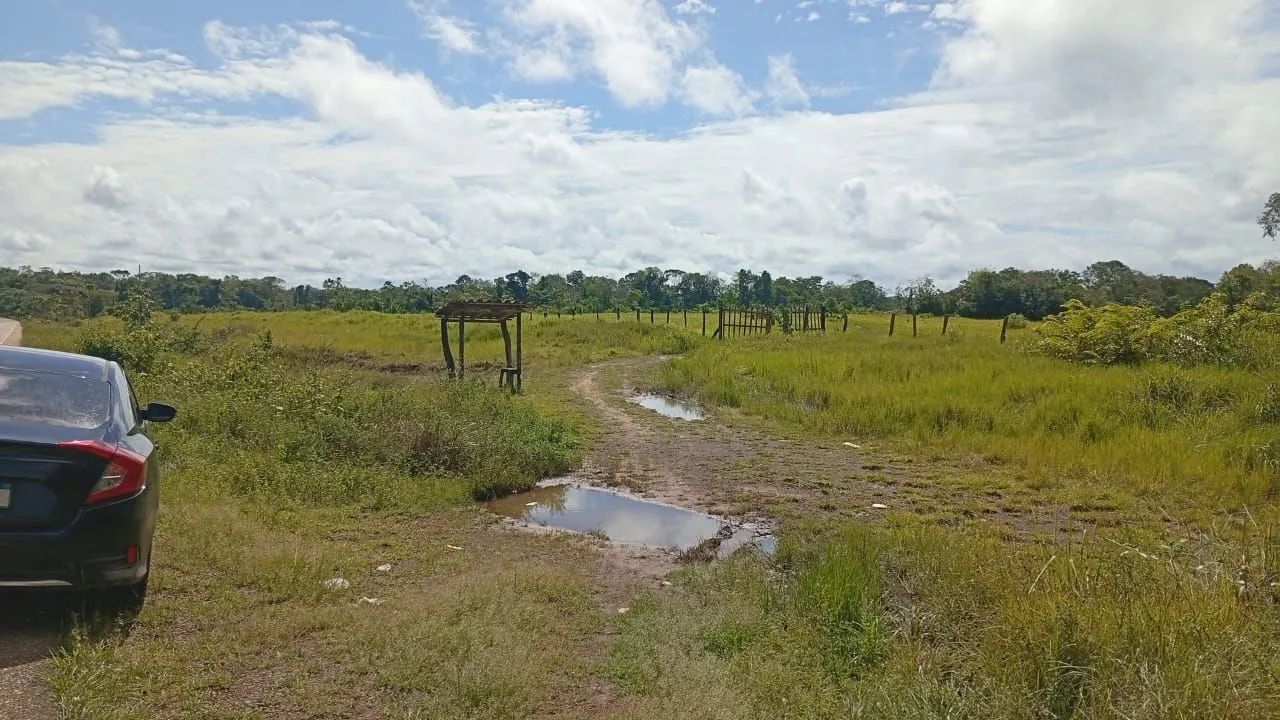 TERRENO ALÇA VIÁRIA  - Foto 2