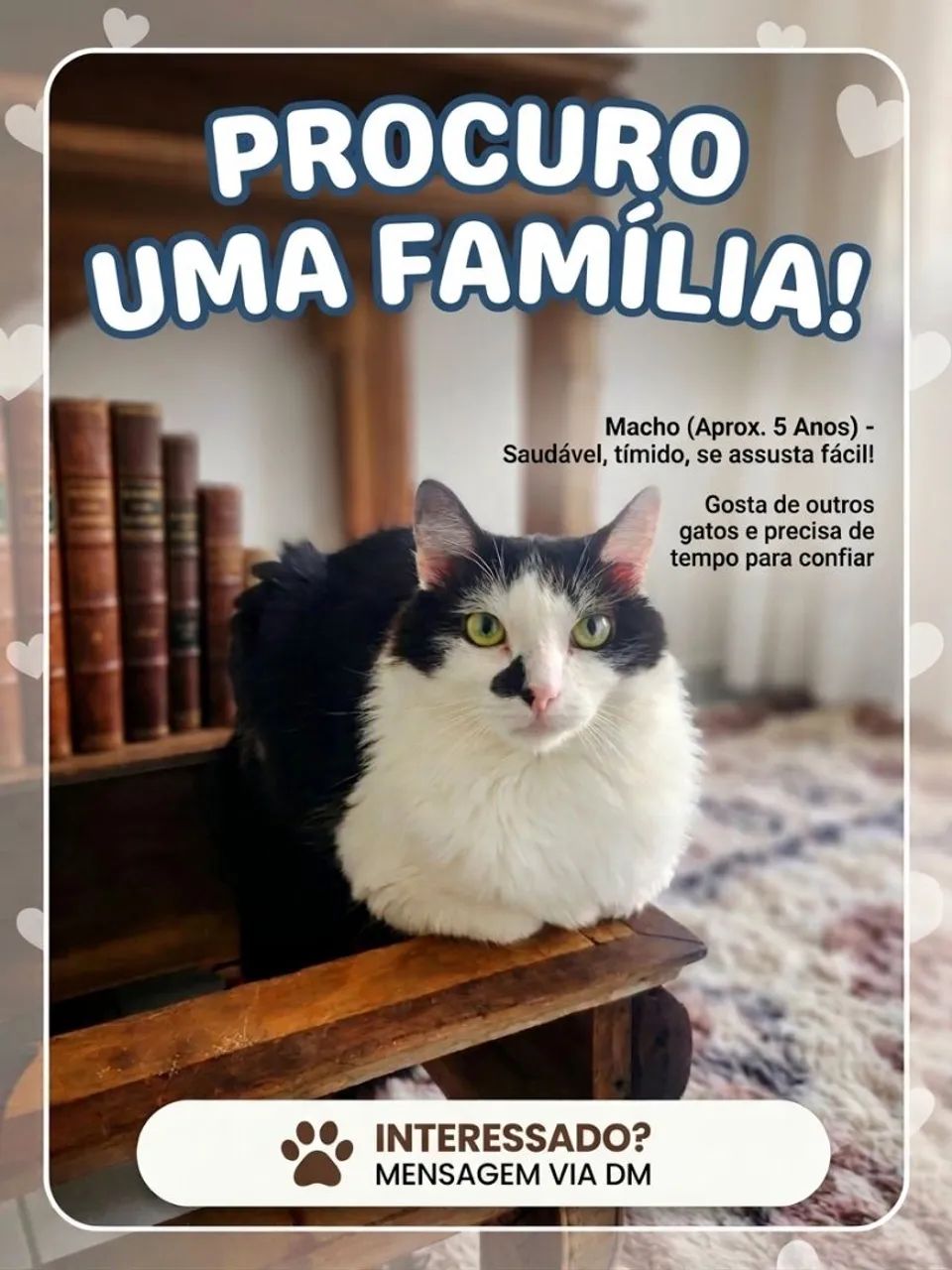 Adoção responsável 