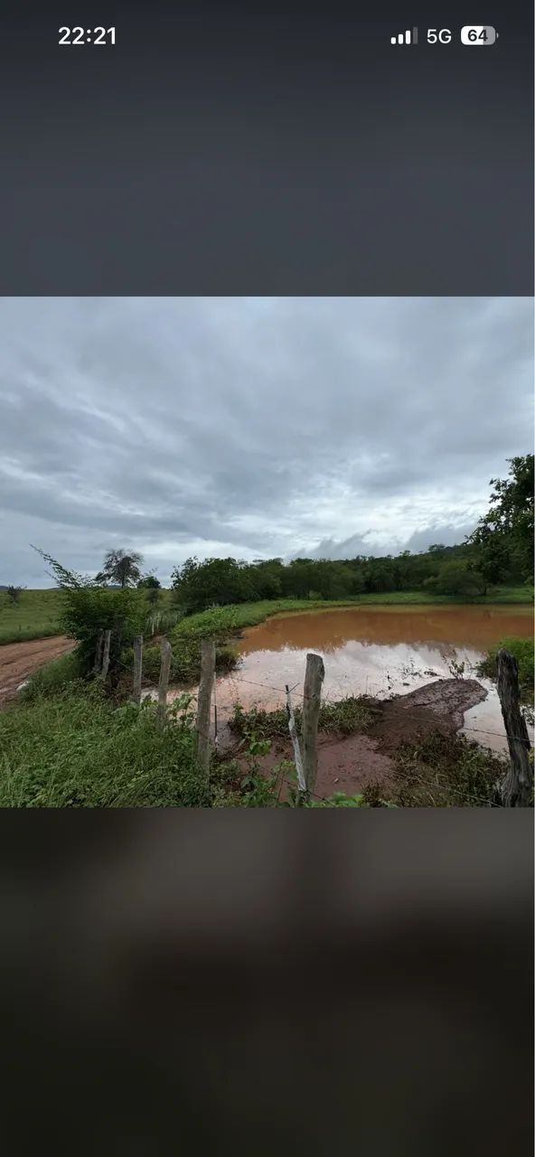 Vendo fazenda a 7km de Itaberaba  - Foto 11