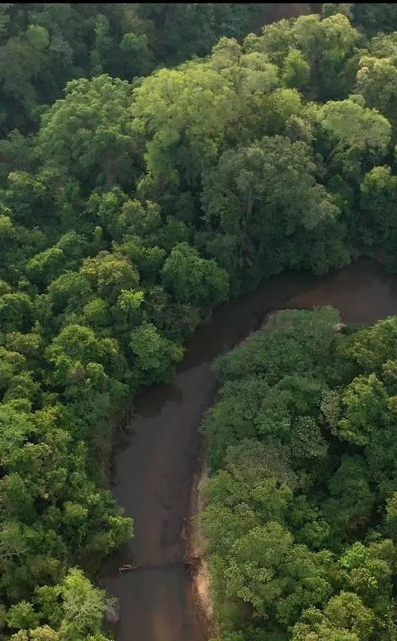 Terreno à Venda - Rochedo - Foto 3
