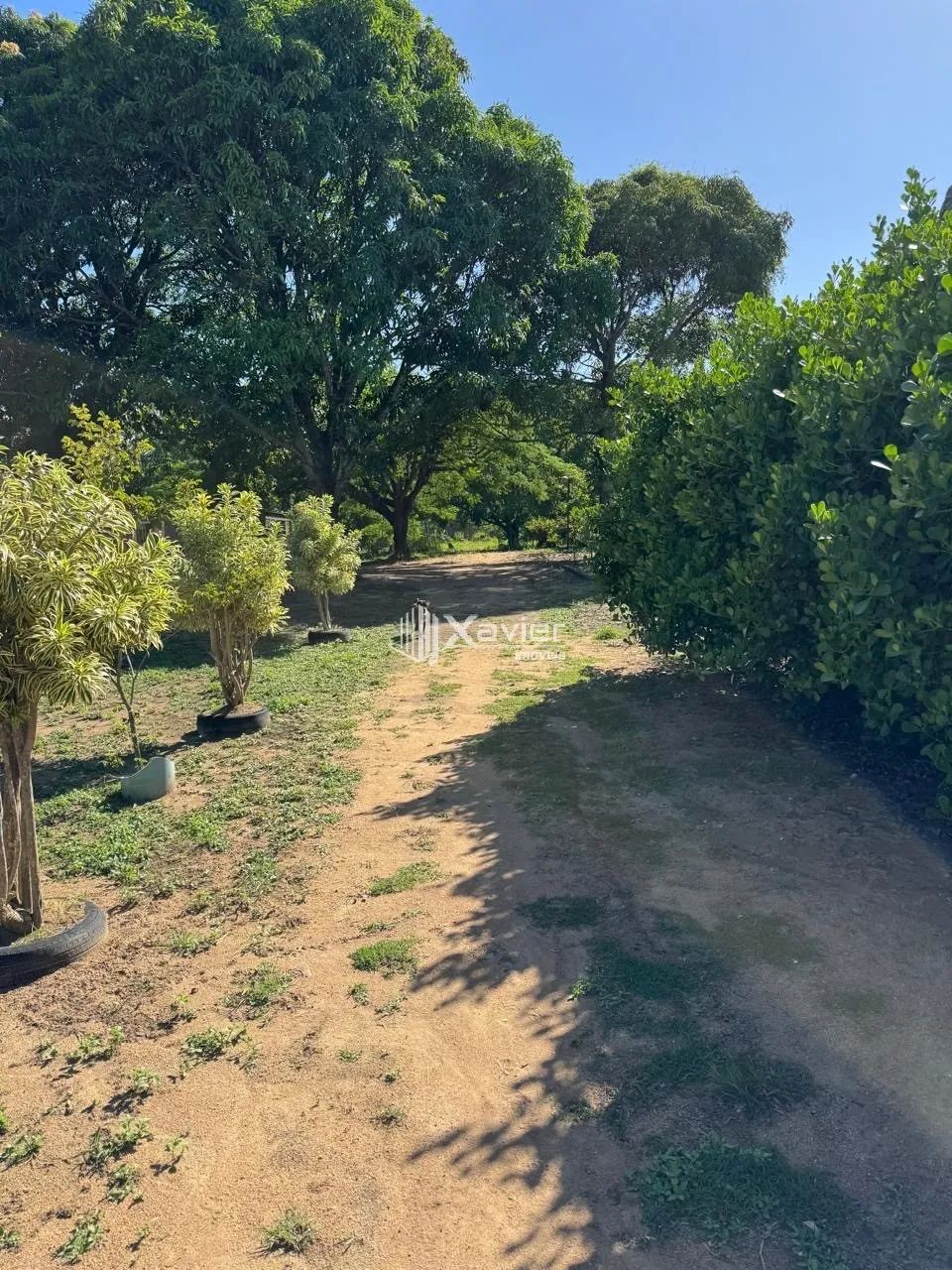 Chácara Escriturada com 6.500 m², Nascente, 2 Lagoas e Árvores Frutíferas à Venda no Jabar - Foto 11