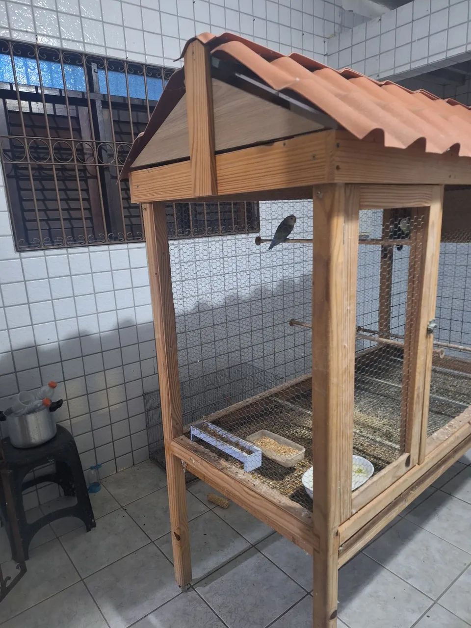 Viveiro com pássaros para vender, bom e parato  - Foto 4