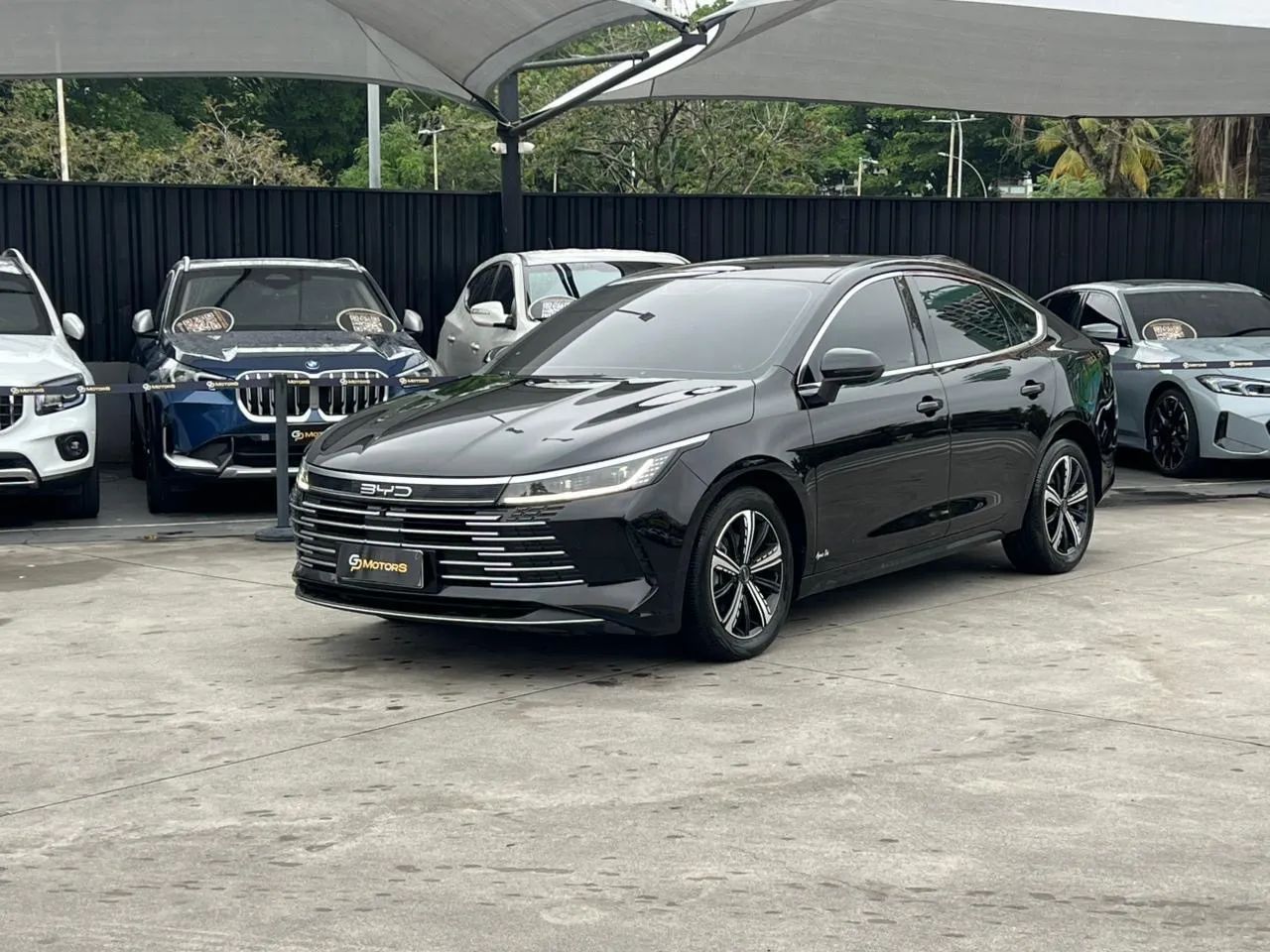 BYD King 2025