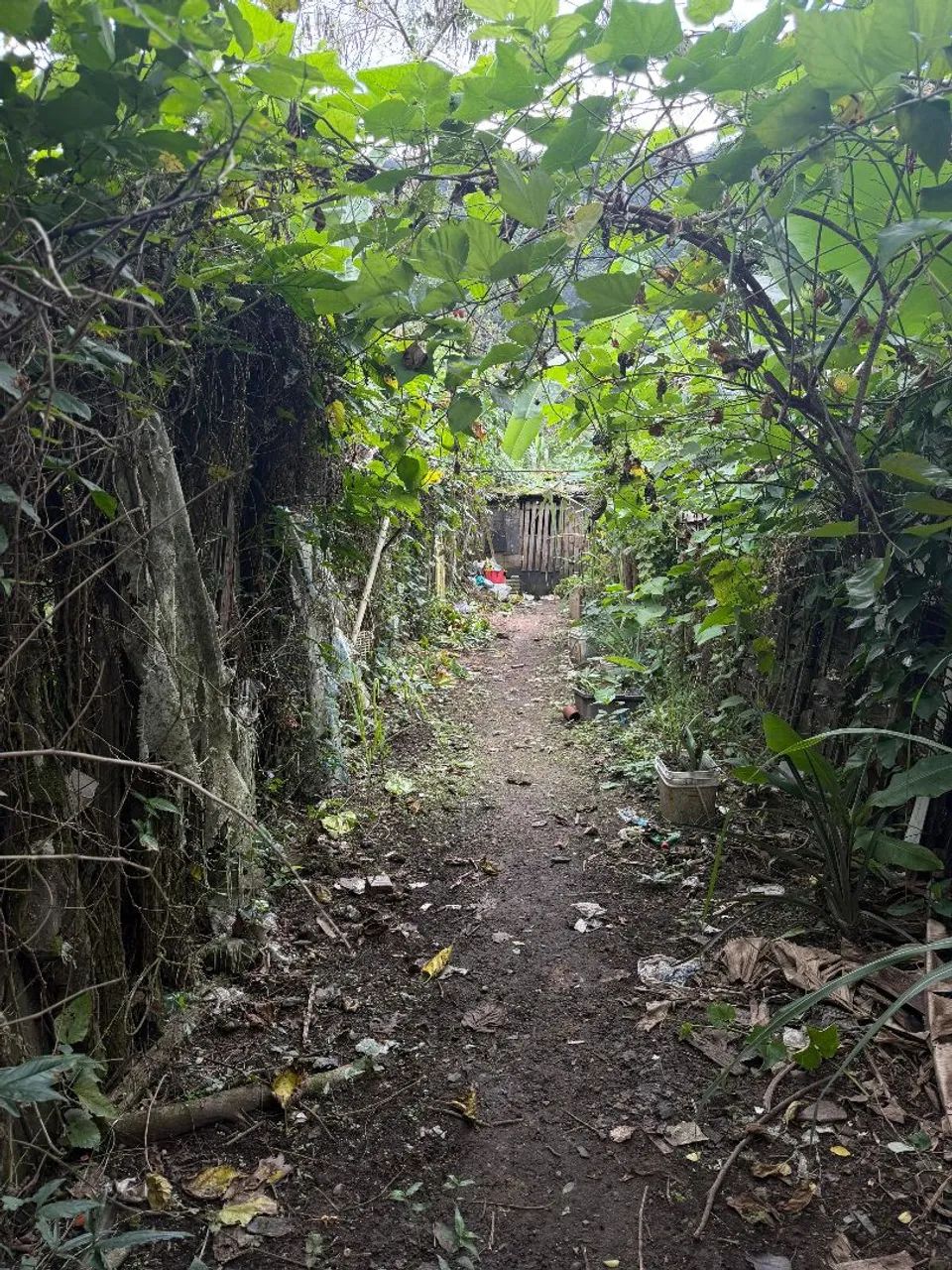 Terreno com cadastro - Foto 4