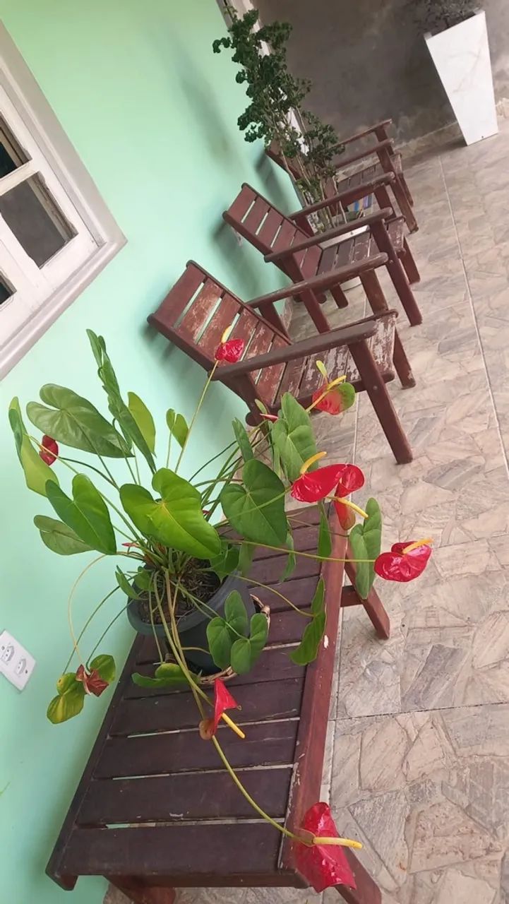 6 cadeiras de MADEIRA + centro - Foto 2