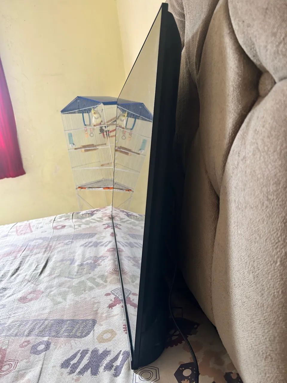 Televisão 43 polegadas smart  - Foto 4