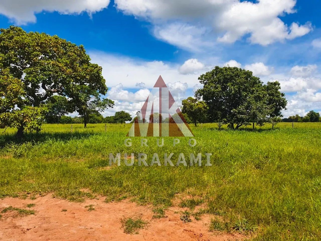 FAZENDA - RIO NEGRO - MS - Foto 2