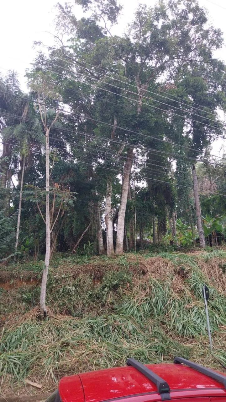 Terreno 