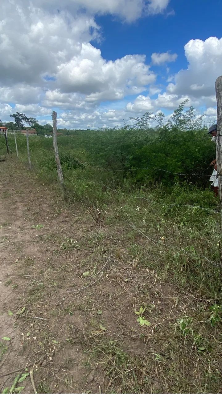 Foto - São Gonçalo dos Campos - 
