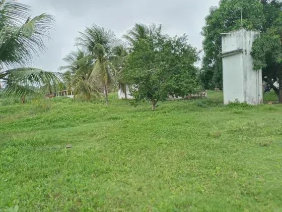 Granja com 11 hectares na região de Monte Alegre estruturada - Foto 2