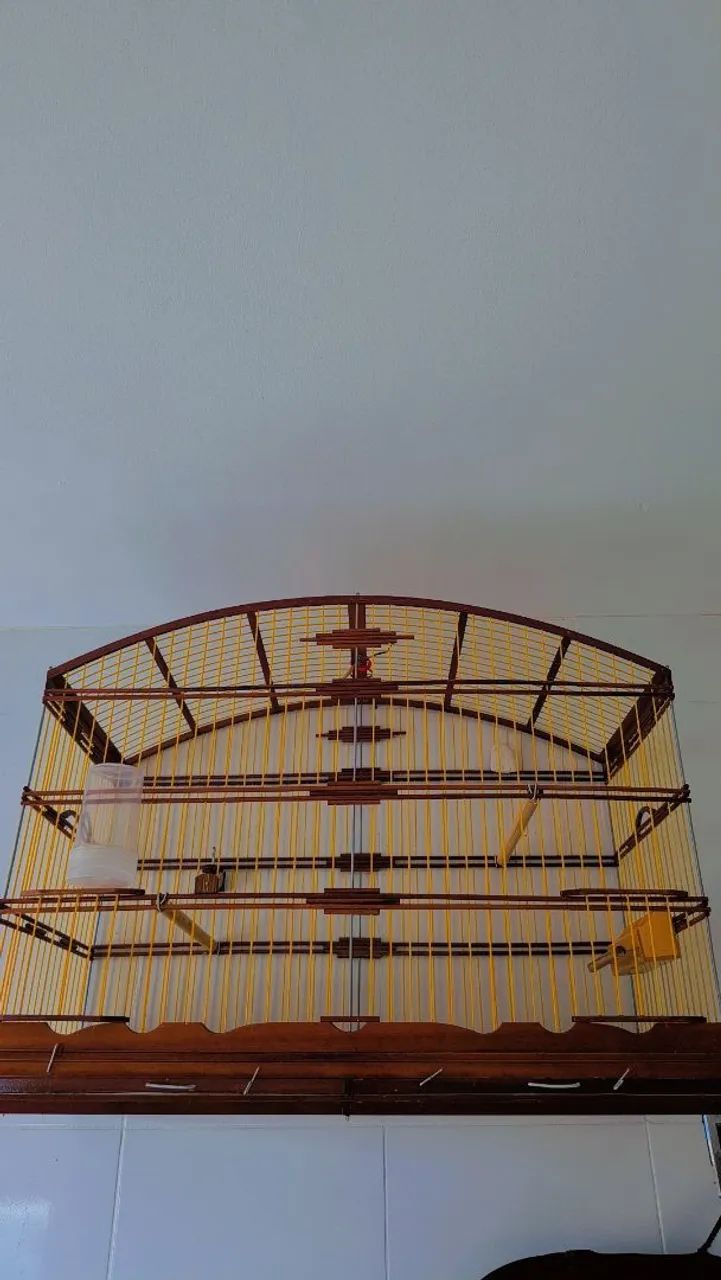 Gaiola pássaros grandes