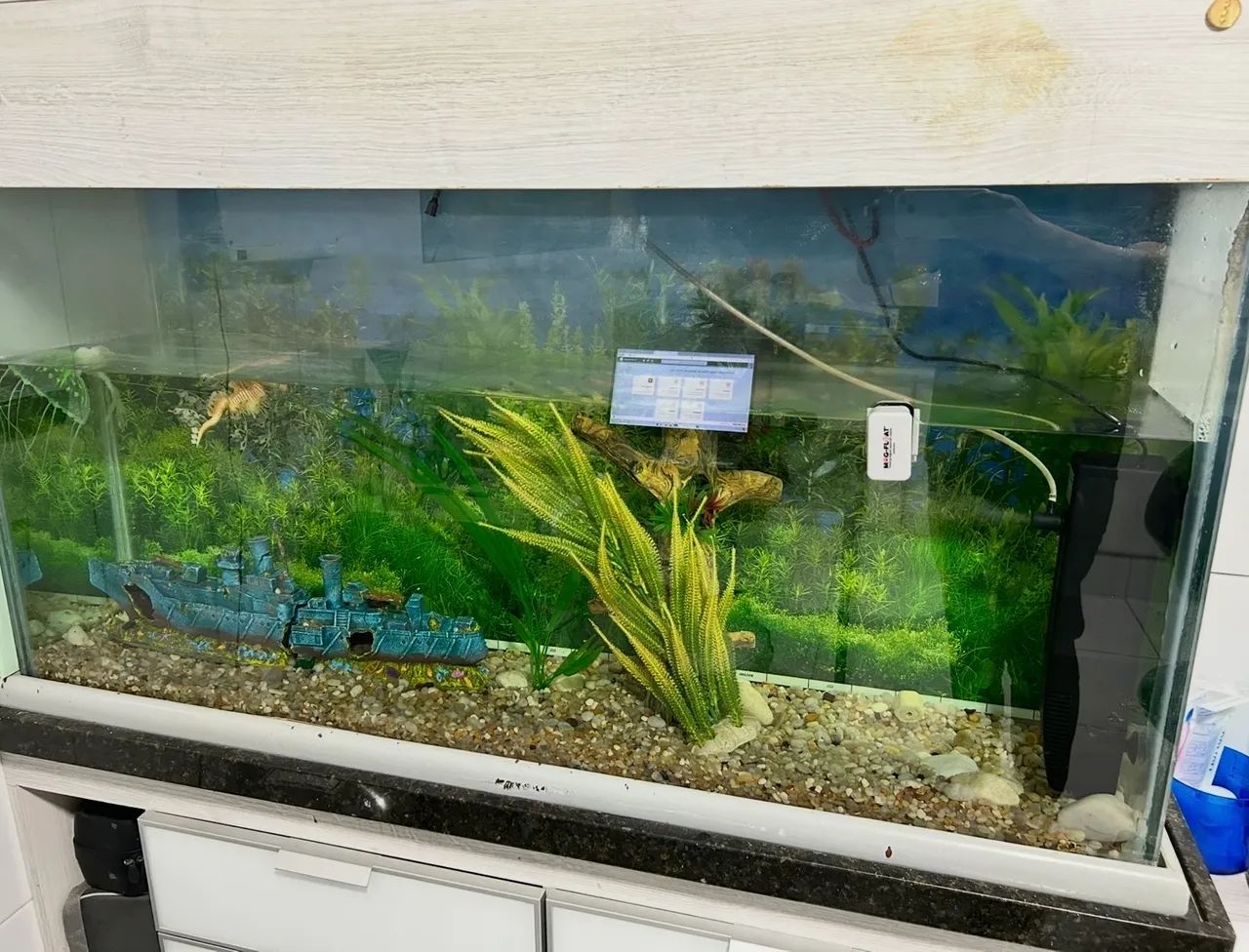 Vendo aquário grande - Foto 2