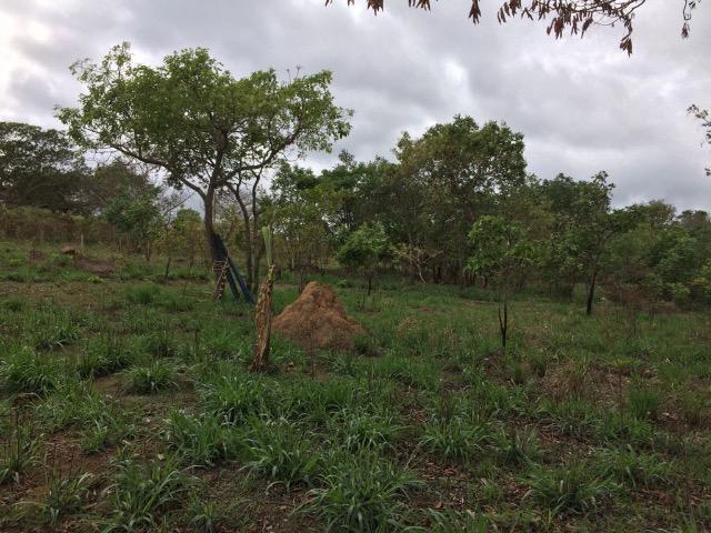 Terreno / Lote / Área / Chácara 45.000 m² Chapada dos Guimarães MT - Foto 8