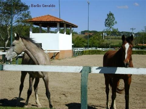 Chácara para alugar em Loteamento chácaras vale das garças, Campinas cod:CH000466 - Foto 19